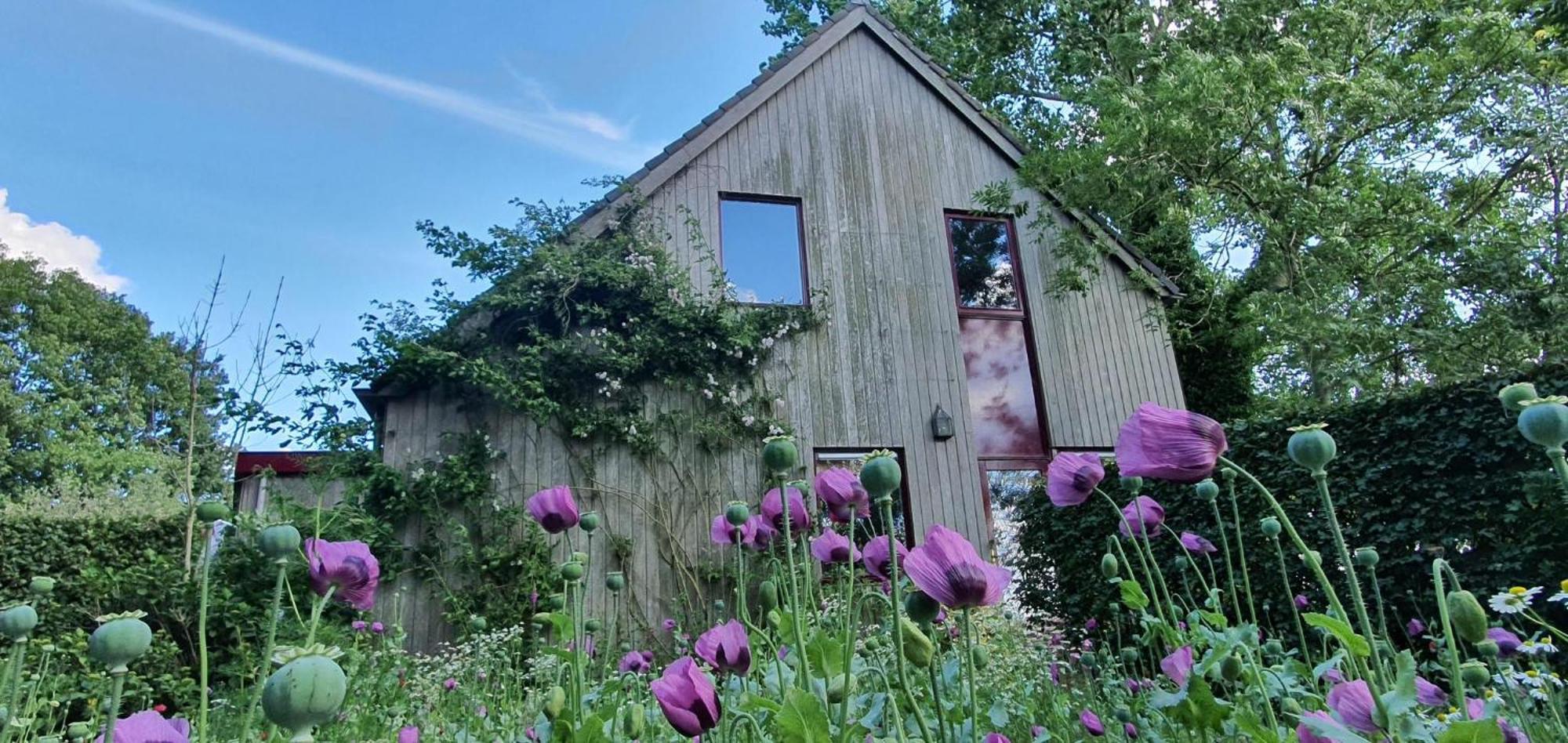 Het Kleine Paradijs Easterein Buitenkant foto